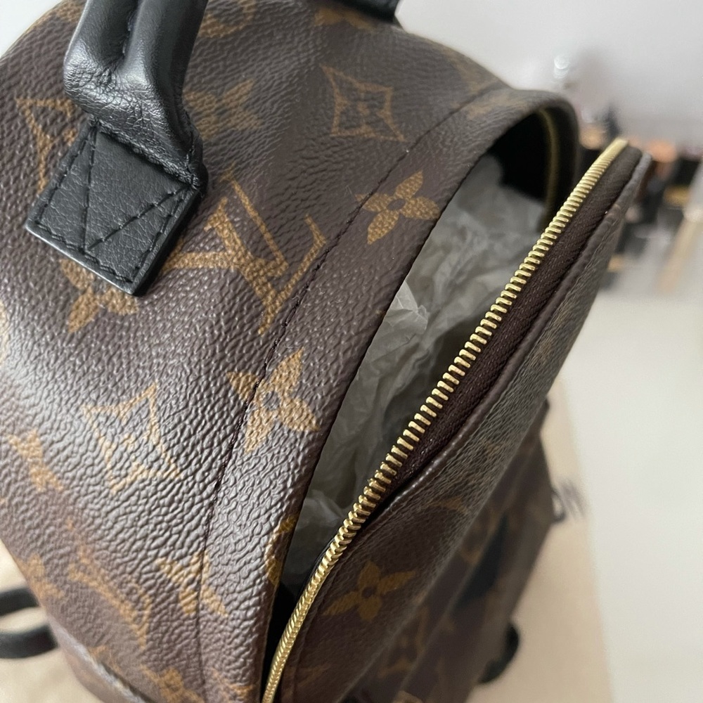 LV Palm Spring Mini Backpack - Picture 2 of 9